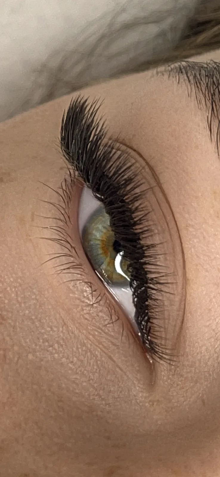 Long volume lashes on a green eye