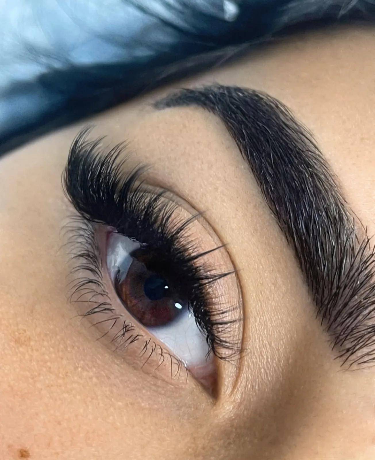 Dense volume set with laminated brows