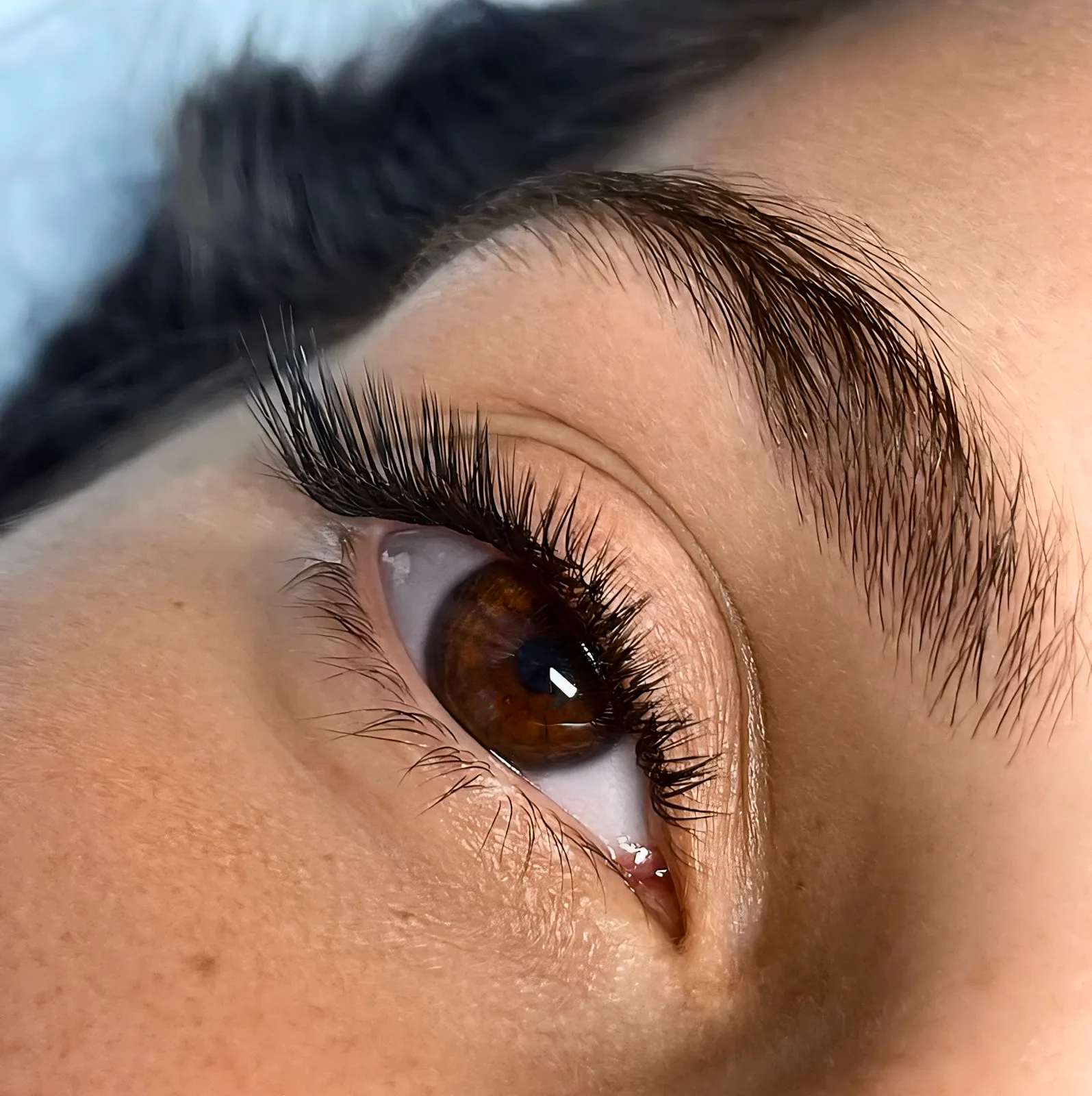 Wet look lash set on a brown eye